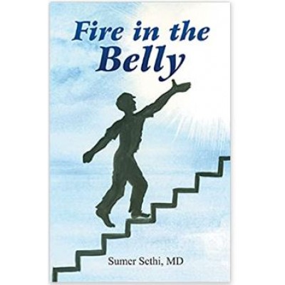 Fire in the Belly;1st Edition 2019 By Sumer Sethi