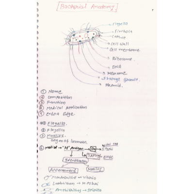 Microbiology DAMS PG-Hand Written ( Colored) Notes 2022-23