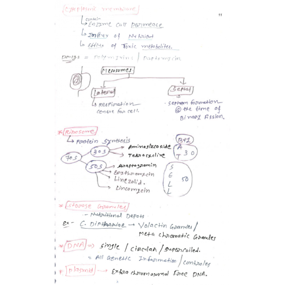 Microbiology DAMS PG-Hand Written ( Colored) Notes 2022-23