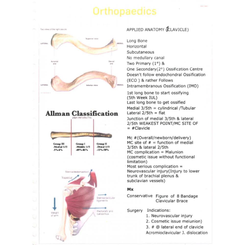 Orthopaedics DAMS PG-Hand Written (Colored )Notes 2022 -23