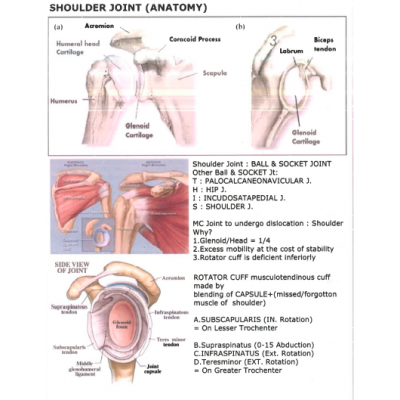 Orthopaedics DAMS PG-Hand Written (Colored )Notes 2022 -23