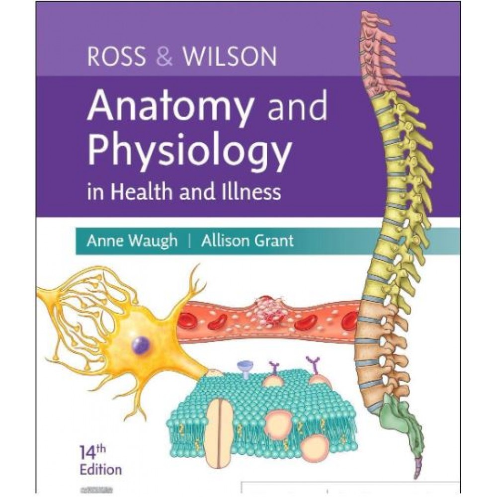 Ross & Wilson Anatomy And Physiology In Health And Illness:14th Edition 2023 By Anne Waugh & Allison Grant