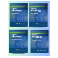 Fields Virology(4 volume set):7th Edition 2024 by Howley P M